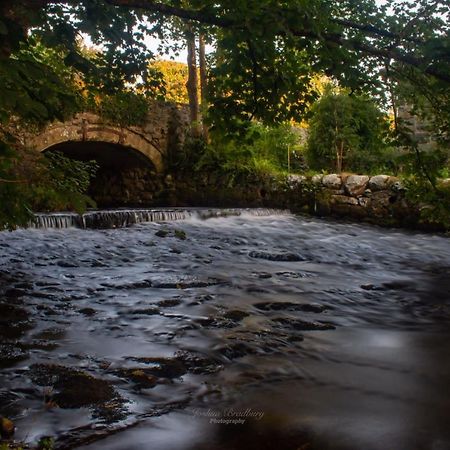 Talybont Bed And Breakfast Бармут Экстерьер фото