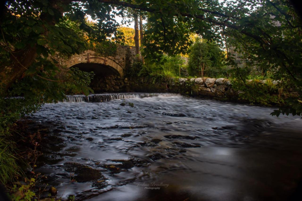 Talybont Bed And Breakfast Бармут Экстерьер фото